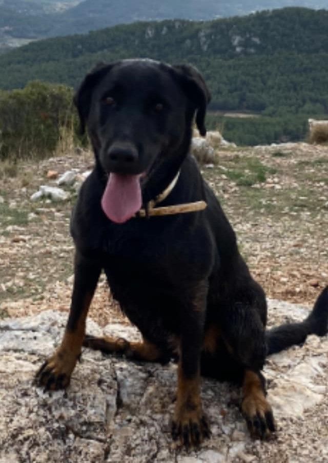 Nyx Des Gardiens Du Mont Olympe